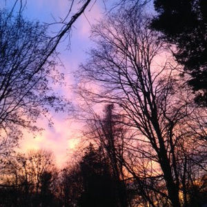 Meet your Posher, Sofia